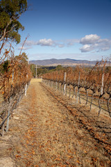 Dry, drought conditions and landscape in Stanthorpe on a stormy afternoon