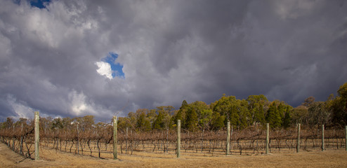Dry, drought conditions and landscape in Stanthorpe on a stormy afternoon