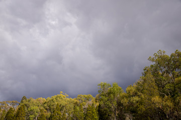 Dry, drought conditions and landscape in Stanthorpe on a stormy afternoon