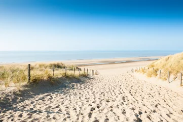Papier Peint photo Mer du Nord, Pays-Bas Dunes de sable sur la côte de la mer, Pays-Bas