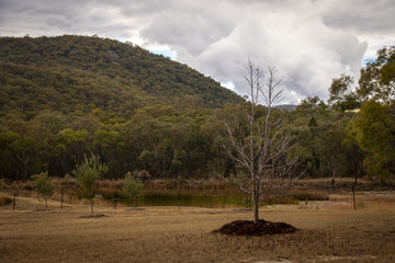 Obraz premium Dry, drought conditions and landscape in Stanthorpe on a stormy afternoon