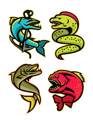 Mascot icon illustration set of ferocious and fearsome fishes like the barracuda, moray eel, northern pike or muskellunge fish, the piranha, pirana or caribe viewed from side  on isolated background i