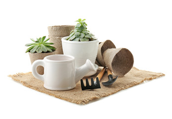 Plants in pots with gardening equipment on white background