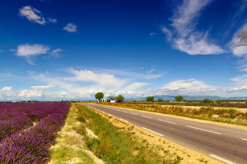 Road on the famous Valensole plateau in Provance, France