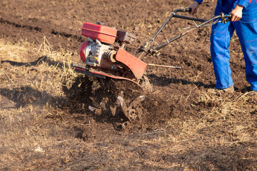 Worker with a machine cultivator digs the soil in the garden