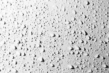 Drops of water with shadow on white background