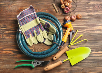 Gardening equipment with bulbs on wooden background
