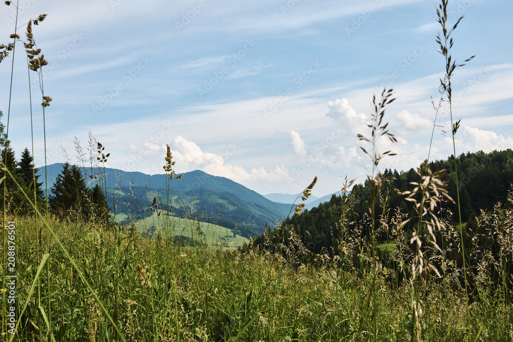 Wall mural mountain landscape of little fatra with forests, hills and grass in the foreground, under the blue s