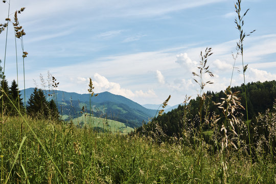 Mountain landscape of Little Fatra with forests, hills and grass in the foreground, under the blue sky - near Terchova and Zazriva in Slovakia