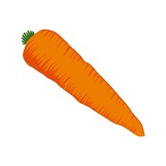 Vector illustration icon of a carrot