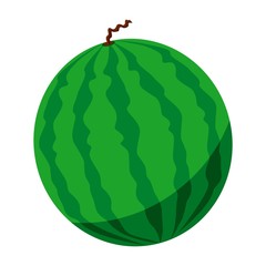 Vector illustration icon of a watermelon