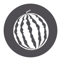 Vector illustration icon of a watermelon