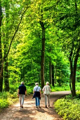 Wald Spaziergang Seniorinnen