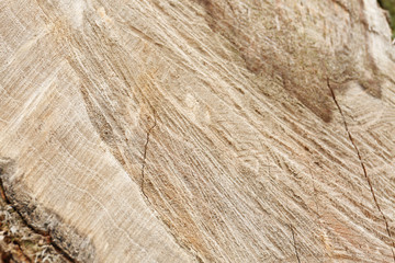 Wooden textured background
