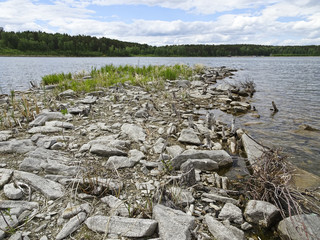 Obraz premium Summer landscape: a sunny day on the shore of a forest lake