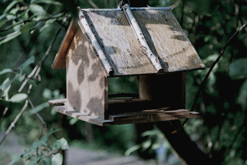 Wooden bird feeder on tree