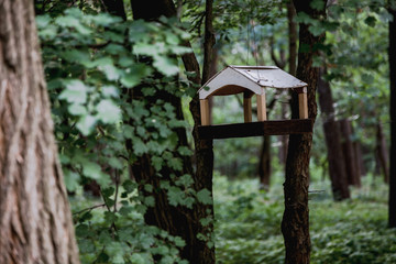 Wooden bird feeder on tree