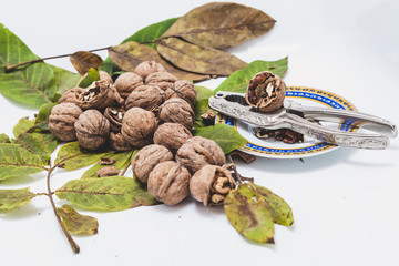 group of walnuts and  orchoc on saucer