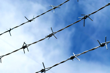 Barbed wire and sky backdrop.