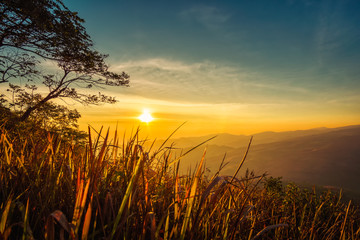 Obraz premium Landscape from the top of mountain