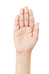 Right hand shown as palm from front isolated on white background.