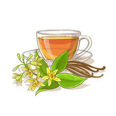 vanilla tea illustration