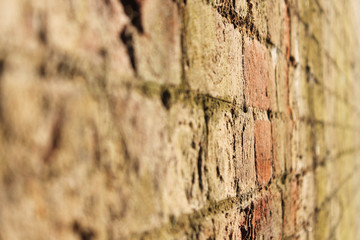 Obraz premium old brick wall