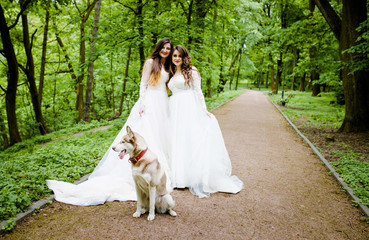 Two beautiful brides are standing in the park with a dog