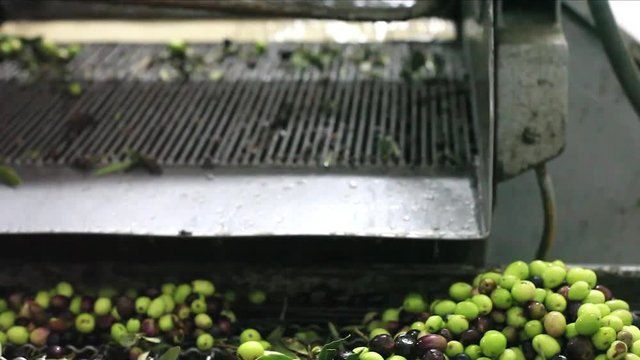 Make a oil, recipe to craft olive oil