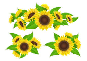 Naklejka premium Kolekcja słoneczników z dekoracją pąków i liści, bukietem i obramowaniem. Ilustracja wektorowa na białym tle na lato i projektowanie przyrody