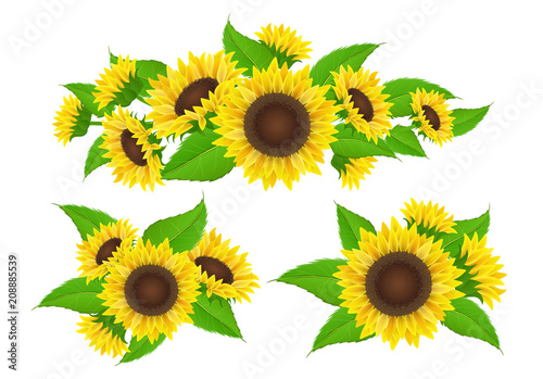 "Sunflower collection with bud and leaf, bouquet and ...