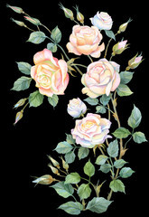 Obrazy na Szkle  Bukiet jasnych róż na białym tle na czarnym tle
