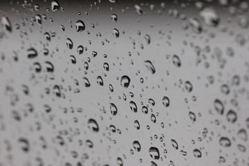 Naklejka na ściany i meble macro water droplet after rain stopped