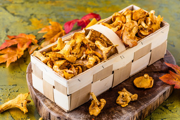 Frische Pfifferlinge (pilze)