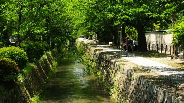 京都　哲学の道