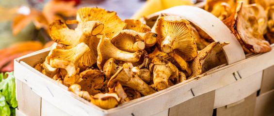 Frische Pfifferlinge (pilze)
