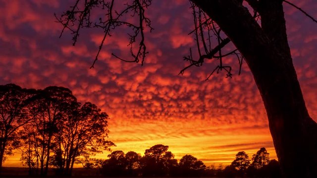 Fluffy Color Clouds Sunrise Time Lapse Tree Silhouette Open Australian Country Side landscape Beauty