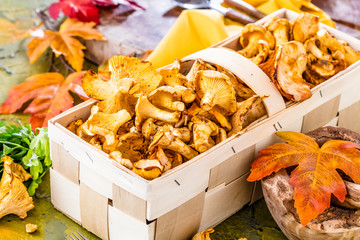 Frische Pfifferlinge (pilze)