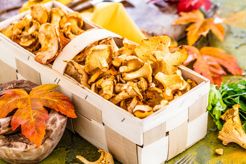 Frische Pfifferlinge (pilze)