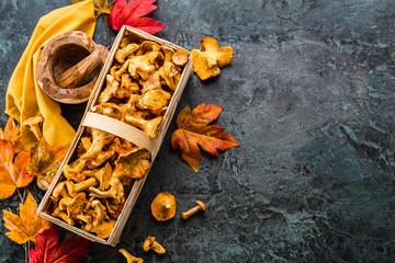 Frische Pfifferlinge (pilze)