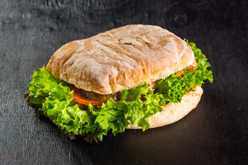 Tasty panini or sandwich with vegetables on black background