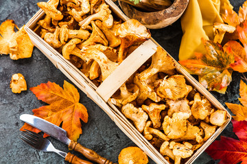 Frische Pfifferlinge (pilze)