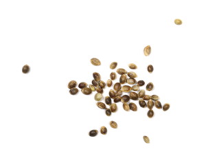 hemp seeds isolated on white background, top view