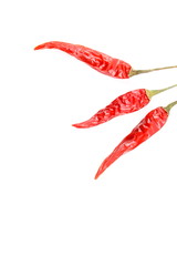 dried thai chili peppers isolated on a white background with copyspace