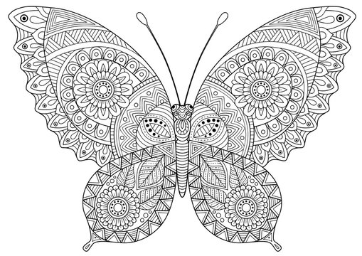 Back and white image of a butterfly on white background. Coloring-antistress for adults and children, for recreation and creativity. Hand drawn butterfly zentangle style for t-shirt design or tattoo.