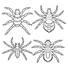 Spider set graphic black white isolated sketch illustration vector