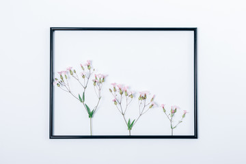 Flower sprigs of different size in black frame