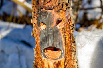 A log with eyes and mouth in the fire, a bonfire in the open air
