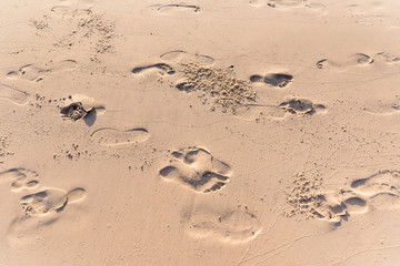Footprint on the sand of a beach.Thailand.