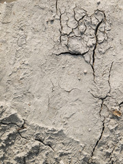 Mud texture: wet cracked ground